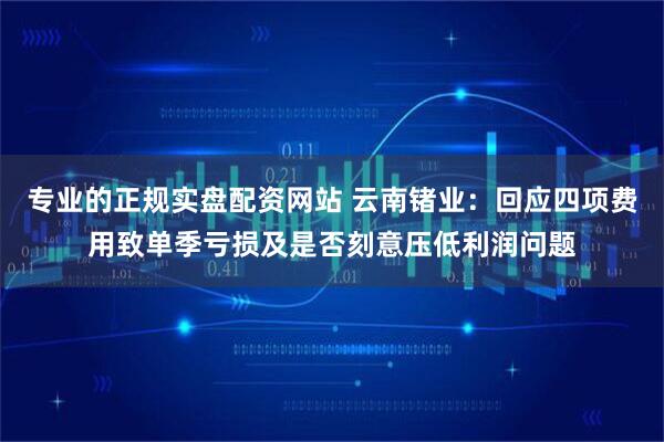 专业的正规实盘配资网站 云南锗业：回应四项费用致单季亏损及是否刻意压低利润问题
